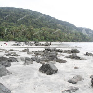 Isla Gorgona