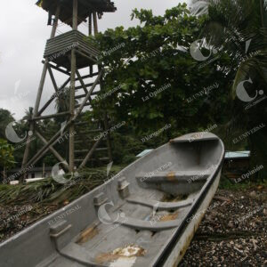 Isla Gorgona