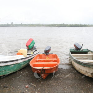 Isla Gorgona
