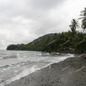 Isla Gorgona