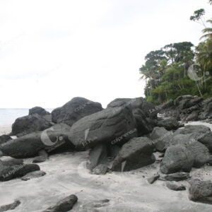 Isla Gorgona