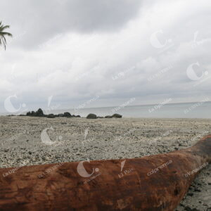 Isla Gorgona