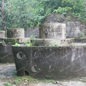 Isla Gorgona