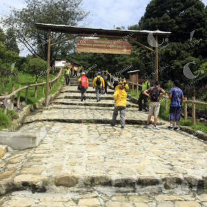 Monserrate