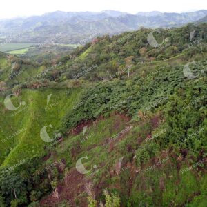 Deforestación