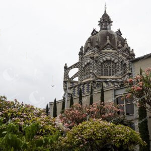 Jardines de Medellín florecen
