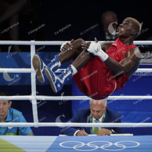 Boxeo, Juegos Olímpicos Río 2016
