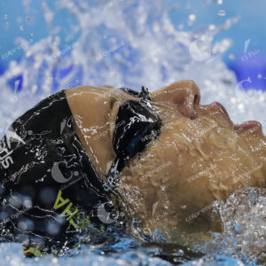 Natación, Juegos Olímpicos Río 2016