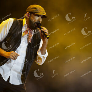 Juan Luis Guerra
