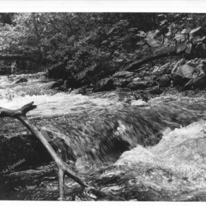 Río Medellín