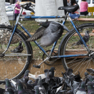 Bicicleta en La Ceja