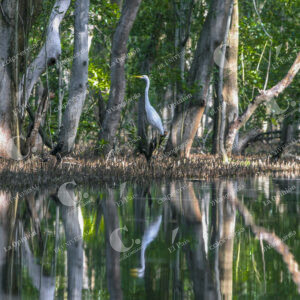 Parque Isla salamanca