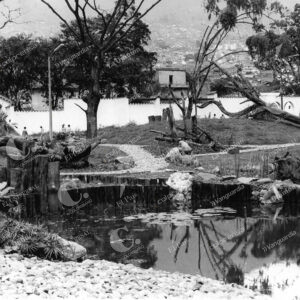 Jardín Botánico, Medellín