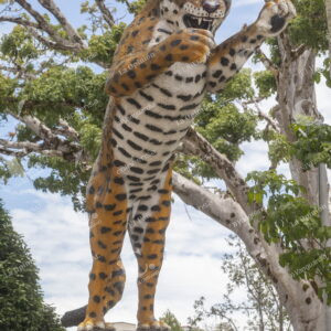 Tigre de Amalfi