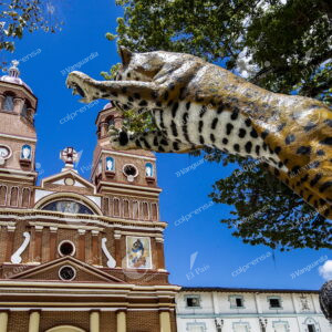 Tigre de Amalfi