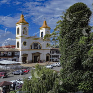 Árboles en los Municipios