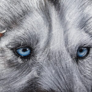 Animales Obras de Arte