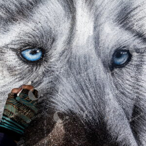 Animales Obras de Arte