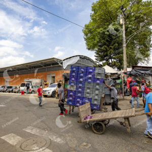 Central Mayorista de Antioquia