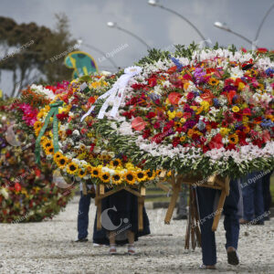 Desfile de Silleteros