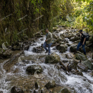 Reserva Natural El Romeral
