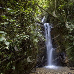 Reserva Natural El Romeral