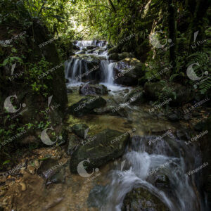 Reserva Natural El Romeral