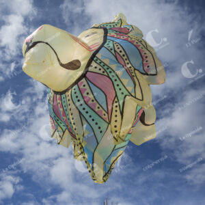Globos Solares