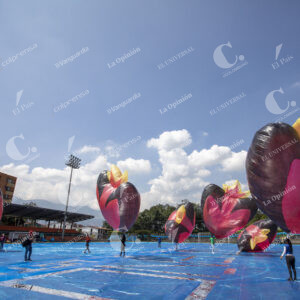 Globos Solares