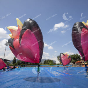 Globos Solares