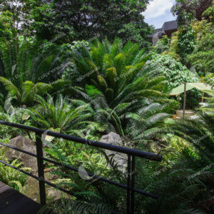 Jardín Botánico