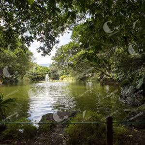 Jardín Botánico