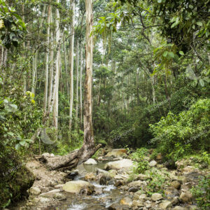 Parque Ecoturístico El Salado