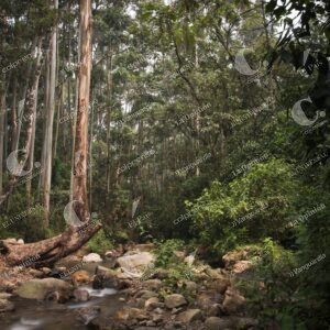 Parque Ecoturístico El Salado