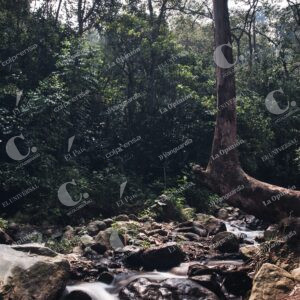 Parque Ecoturístico El Salado