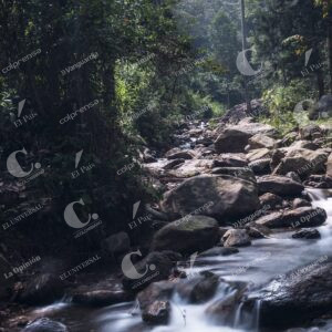 Parque Ecoturístico El Salado