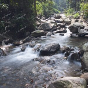 Parque Ecoturístico El Salado