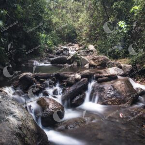Parque Ecoturístico El Salado