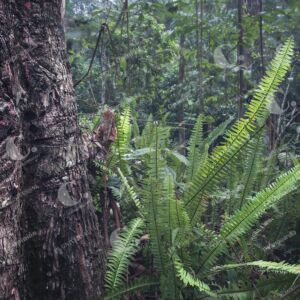 Parque Ecoturístico El Salado