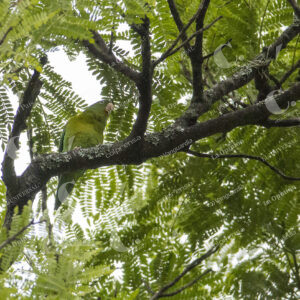 Jardín Botánico