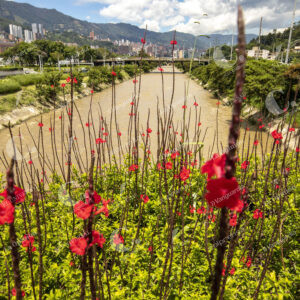 Río Medellín