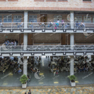 Universidad Luis Amigó