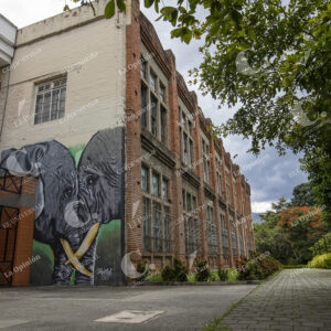 Medellín Universidad Nacional