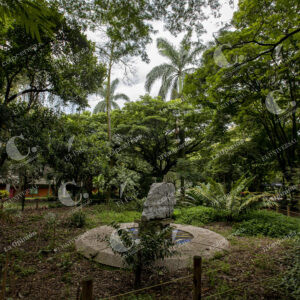 Medellín Universidad Nacional