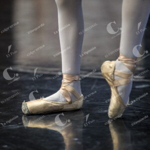 Ballet Metropolitano de Medellín