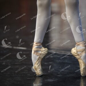 Ballet Metropolitano de Medellín