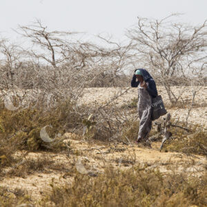 La Guajira