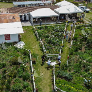 Fincas Silleteras