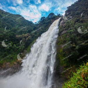 Reserva Natural Salto del Buey