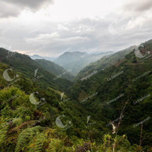 Reserva Natural Salto del Buey